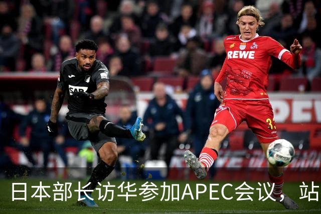 日本部长访华参加APEC会议，站在中国领土上竟提要求放开稀土管制